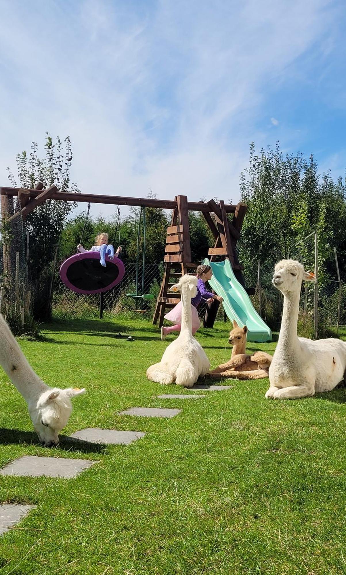 Domki Pod Lasem Villa Rokiciny Podhalanskie Værelse billede