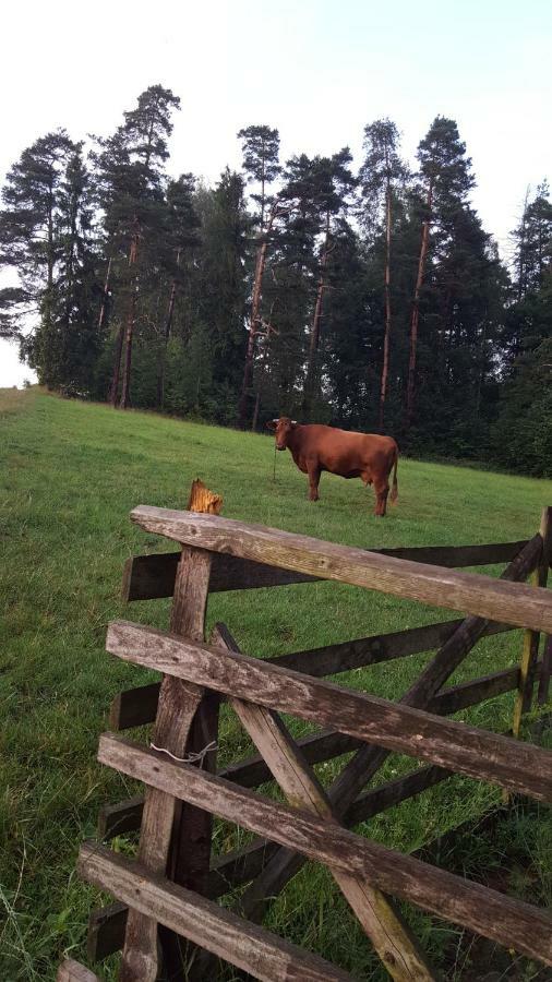 Domki Pod Lasem Villa Rokiciny Podhalanskie Eksteriør billede